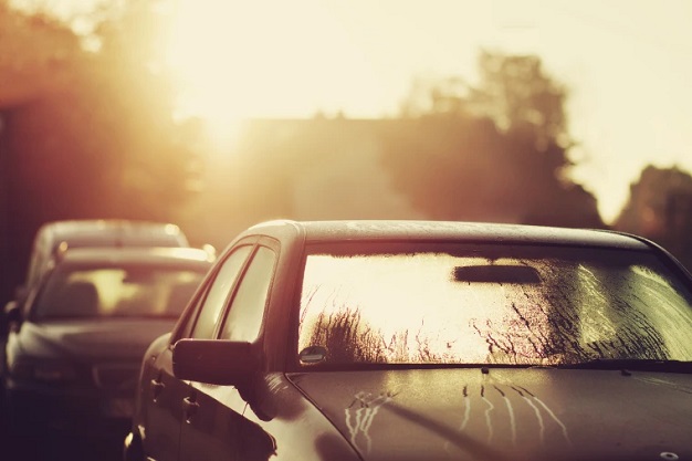 IMG-BANNER