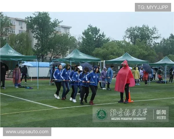 人人体育真人游戏未来发展趋势，探讨行业创新与技术升级带来的全新游戏体验